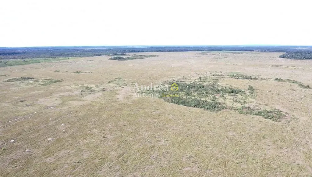 Fazenda, 1500 m² - Foto 35