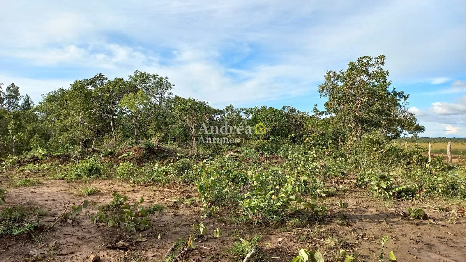 Fazenda, 1500 m² - Foto 26