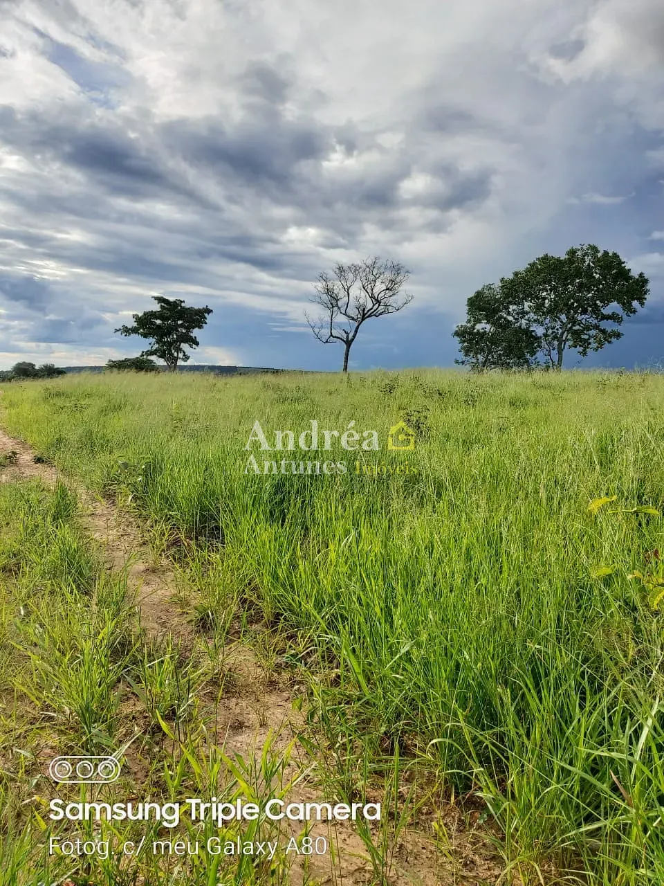 Fazenda, 1500 m² - Foto 28