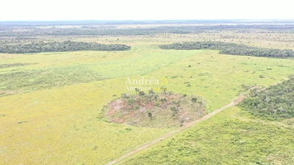 Fazenda, 1500 m² - Foto 34