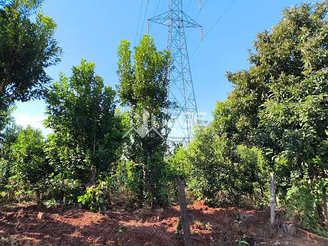 Chácara 2 quartos e 1 banheiro, à venda, no bairro Novo Atlântico em Erechim