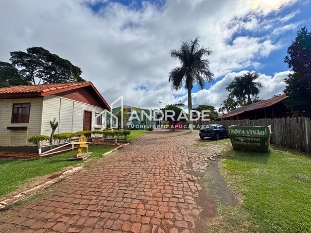 Chácara com 4000m² 4 quartos e 6 banheiros, à venda, no bairro Loteamento Belvedere em Apucarana