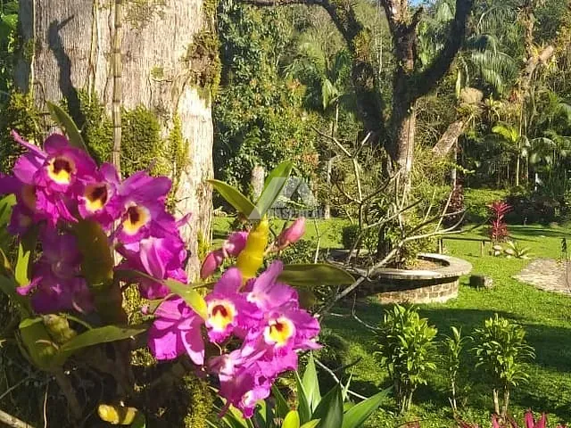 Chácara com 6000m², à venda, no bairro Esperança em Morretes