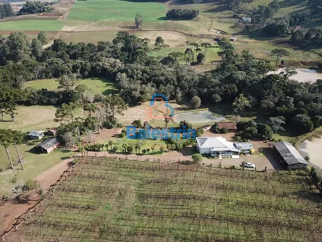 Chácara com 50577m² 5 quartos e 2 banheiros, à venda, no bairro Área Rural de Videira em Videira