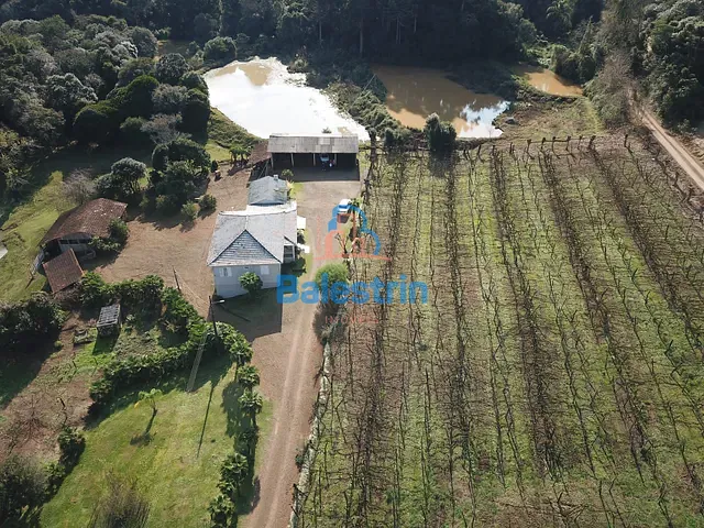 Chácara com 50577m² 5 quartos e 2 banheiros, à venda, no bairro Área Rural de Videira em Videira