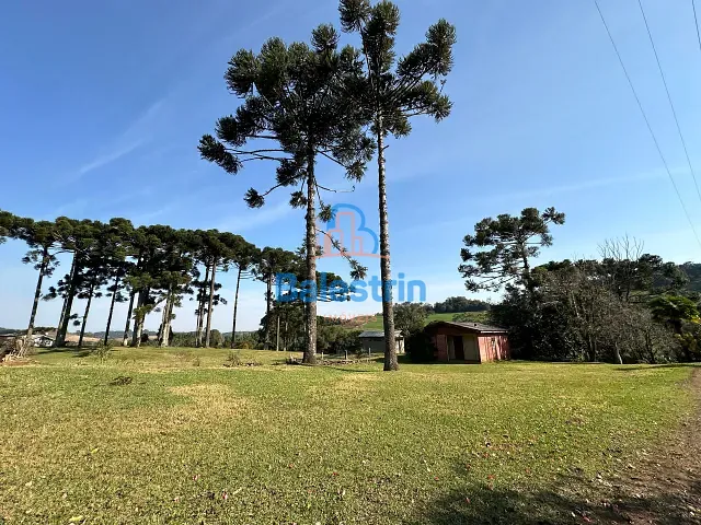 Chácara com 50577m² 5 quartos e 2 banheiros, à venda, no bairro Área Rural de Videira em Videira