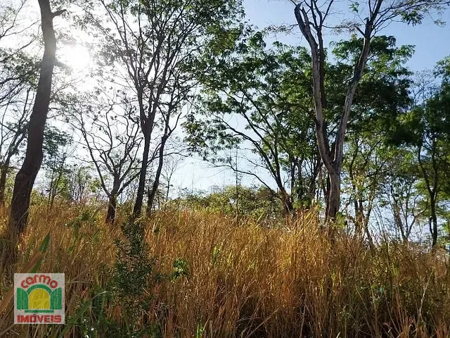 Chácara com 30000m², à venda, no bairro Nova Vila Jaiara em Anápolis