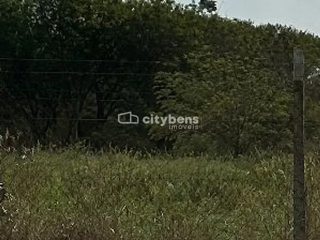 Chácara com 44800m², à venda, no bairro Chácaras Califórnia em Araçatuba