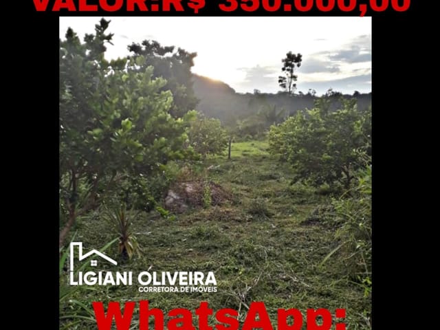Foto do Chácara - Chácara à venda na BR 163, em Novo Progresso - PA | Corretora Ligiani Dias de Oliveira