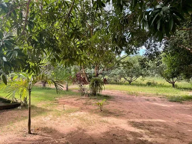 Chácara com 190m² 3 quartos e 2 banheiros, à venda, no bairro Área Rural de Teresina em Teresina