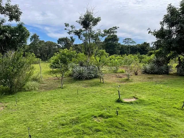 Chácara com 190m² 3 quartos e 2 banheiros, à venda, no bairro Área Rural de Teresina em Teresina