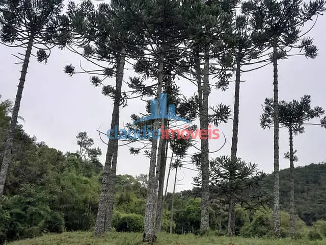 Chácara com 530000m², à venda, no bairro SERRA DO PACAU em Passa Vinte