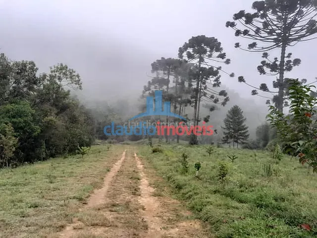 Chácara com 530000m², à venda, no bairro SERRA DO PACAU em Passa Vinte