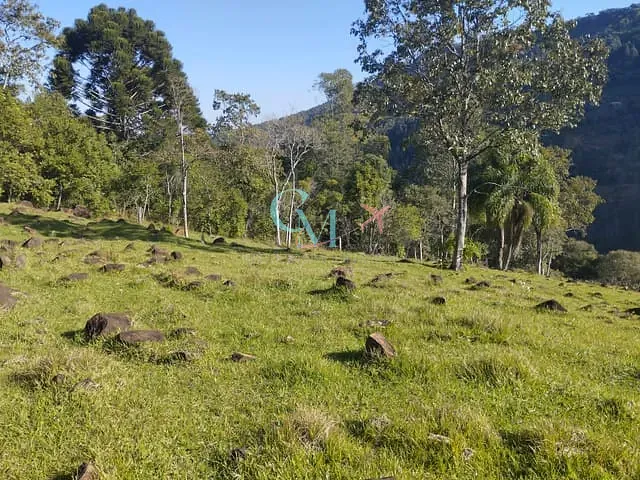Chácara com 387200m² 3 quartos e 2 banheiros, à venda, no bairro Centro em Xanxerê