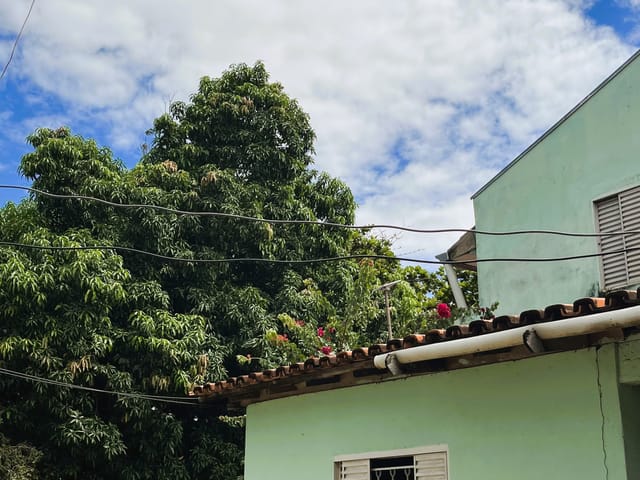 Chácara com 70000m² 3 quartos e 3 banheiros, à venda, no bairro Capão do Pequi em Várzea Grande