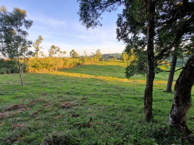 Terreno com 280000m², à venda, no bairro Aimoré em Vila Flores
