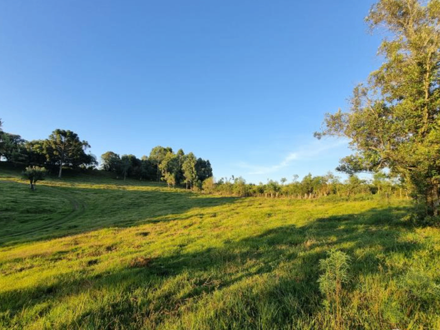 Terreno com 280000m², à venda, no bairro Aimoré em Vila Flores