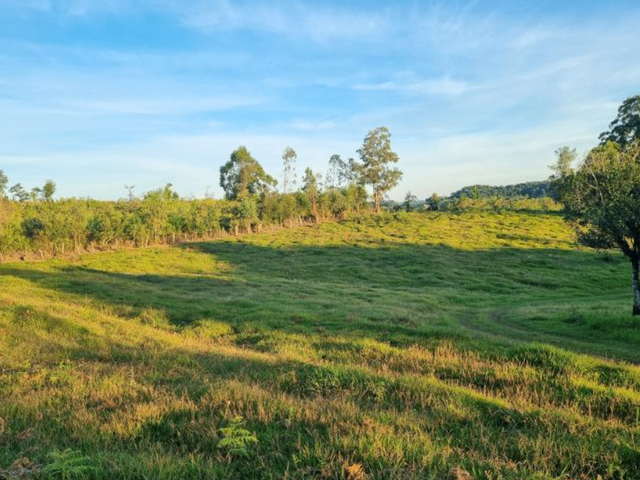 Terreno com 280000m², à venda, no bairro Aimoré em Vila Flores