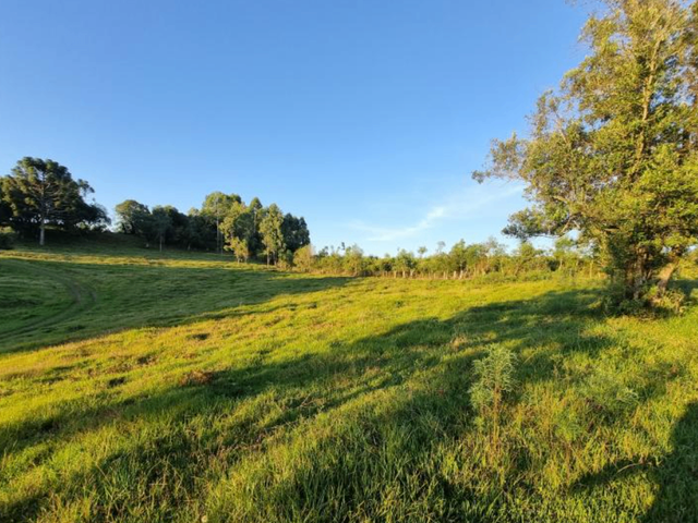 Terreno com 280000m², à venda, no bairro Aimoré em Vila Flores