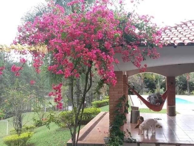 Chácara 3 quartos e 2 banheiros, à venda, no bairro Rural em Socorro