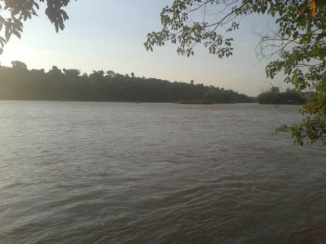 Foto do Chácara - Chácara à venda, na berra do rio Tibagi, próximo a Ilha do Baiano e o do pegadio , Jataizinho, PR | Guepardo Imob