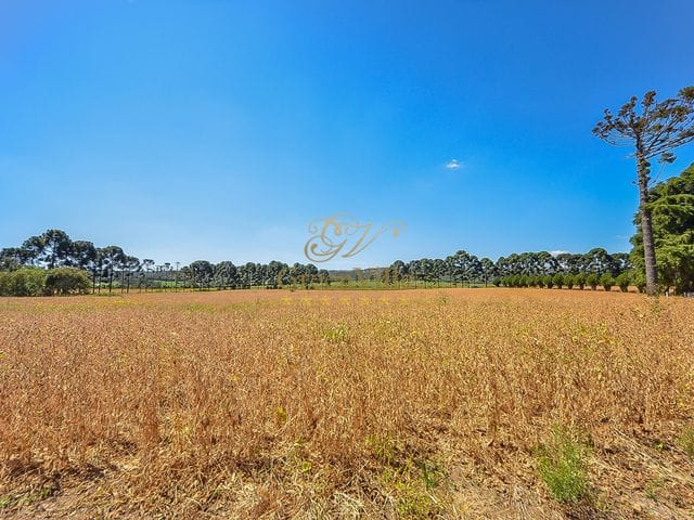Foto do Chácara - Chácara de luxo, Lapa, PR | Imobiliária GreenVille