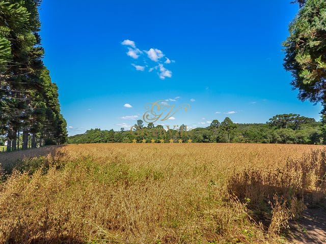 Foto do Chácara - Chácara de luxo, Lapa, PR | Imobiliária GreenVille