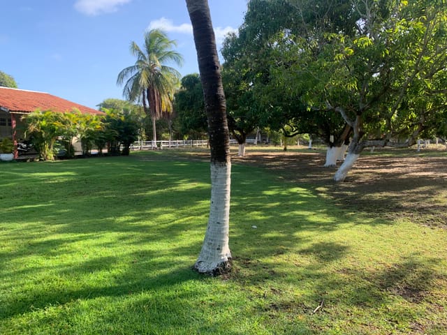 Chácara com 10000m² 3 quartos e 6 banheiros, à venda, no bairro Areia Branca em Aracaju