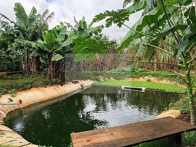 Chácara com 30200m², à venda, no bairro Área Rural de Rolândia em Rolândia