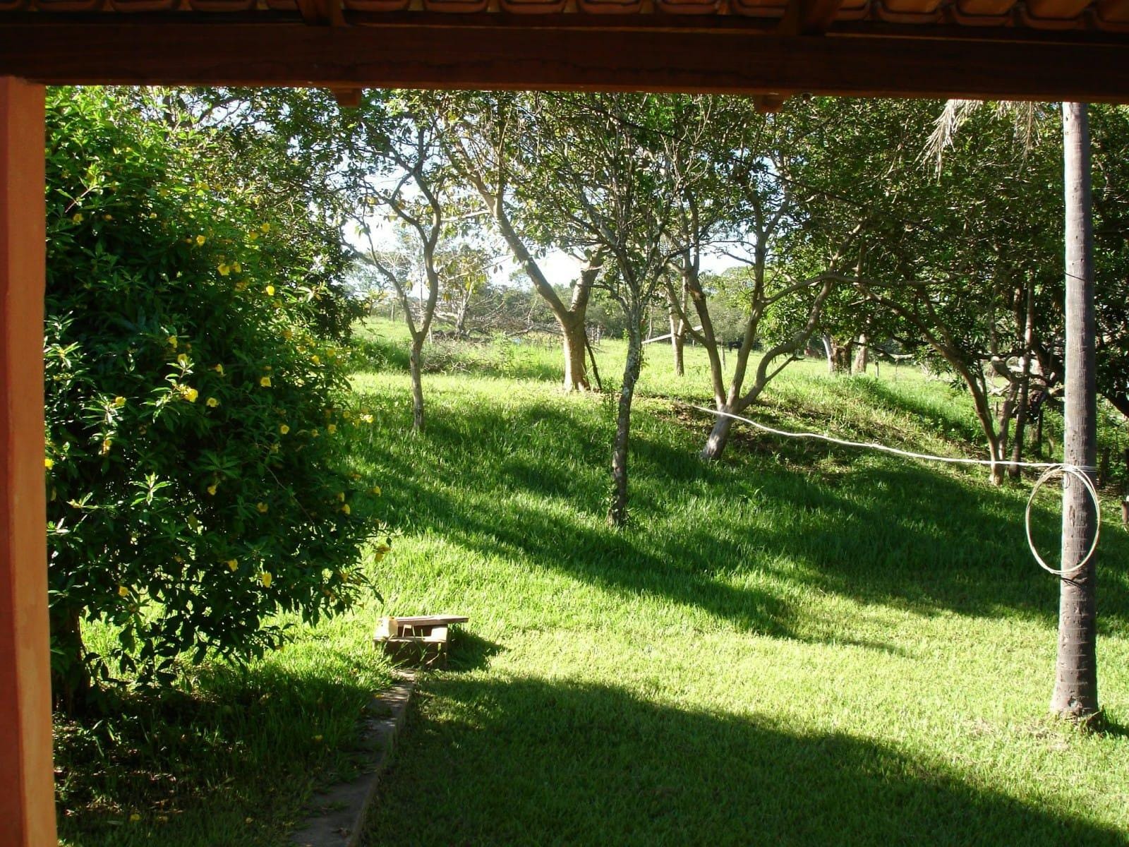 Sítio, 3 quartos, 7 hectares - Foto 7