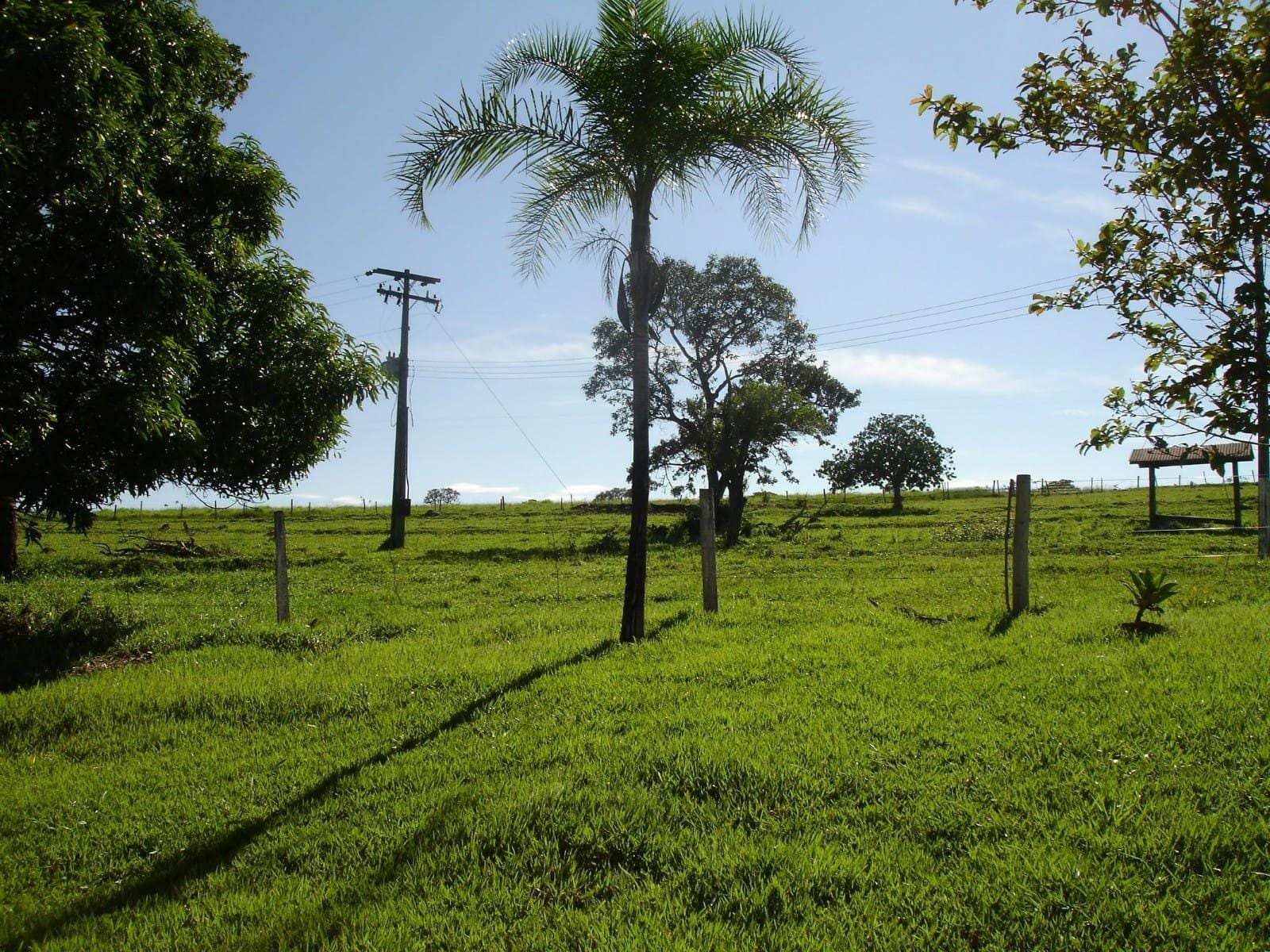 Sítio, 3 quartos, 7 hectares - Foto 6