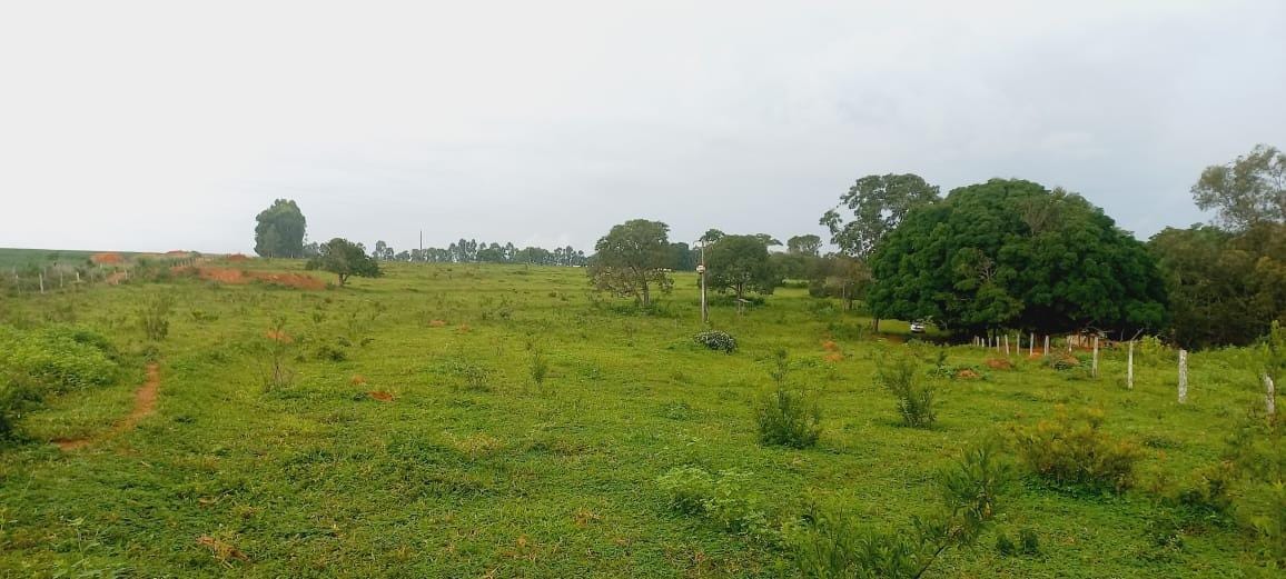 Sítio, 3 quartos, 7 hectares - Foto 4