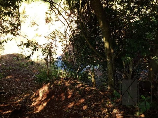 Chácara com 2000m², à venda, no bairro Não informado em Londrina