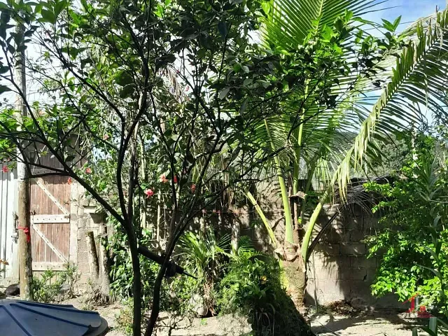 Chácara 2 quartos e 4 banheiros, à venda, no bairro Parque Vergara em Itanhaém