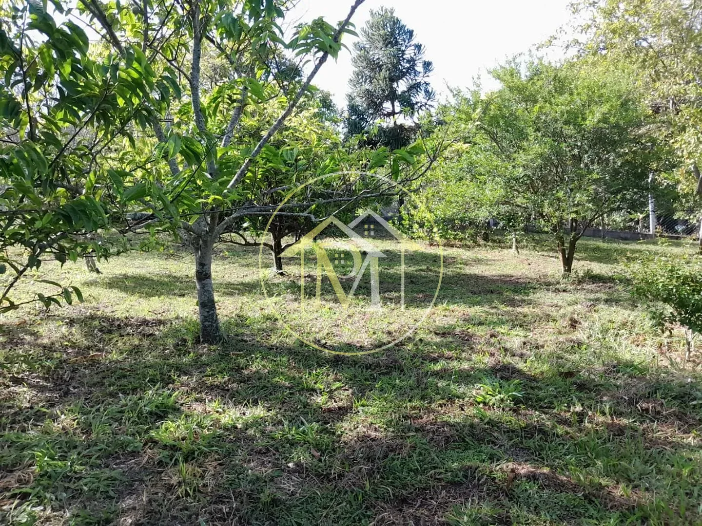 Chácara, 1 quarto, 2800 m² - Foto 2