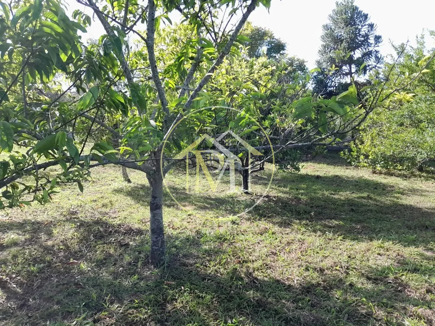 Chácara, 1 quarto, 2800 m² - Foto 12