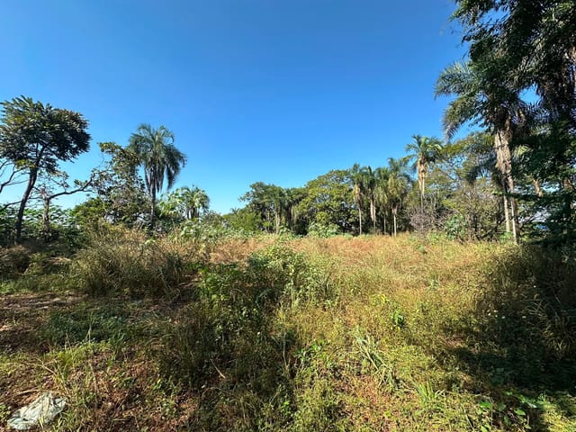 Chácara com 5000m², à venda, no bairro Chácaras de Recreio São Joaquim em Goiânia