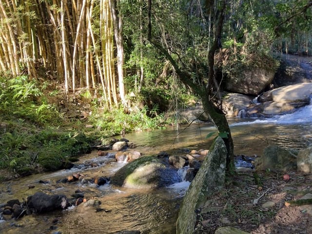 Foto do Chácara - Cascata Catalogado como atração turística á venda, Nova Trento, Descanso, SC | North Center