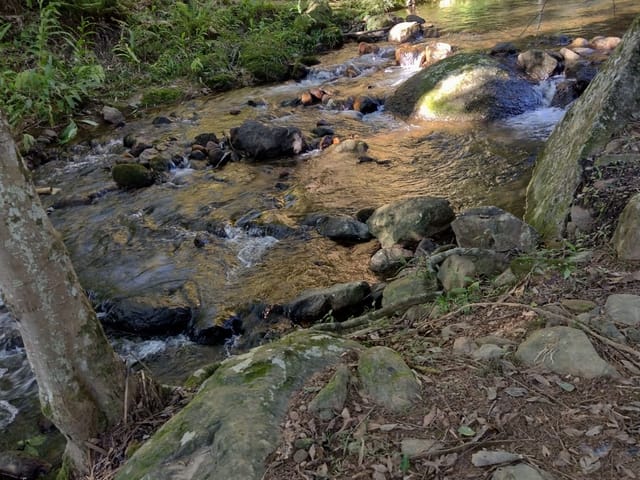 Foto do Chácara - Cascata Catalogado como atração turística á venda, Nova Trento, Descanso, SC | North Center