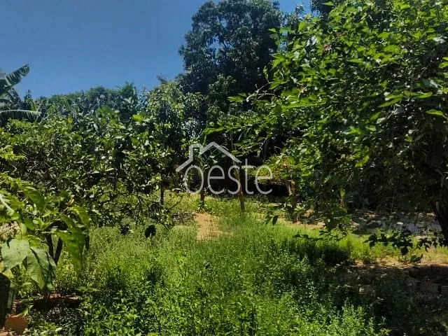 Chácara com 1260m² 3 quartos e 4 banheiros, à venda, no bairro Chácara Recreio Cruzeiro do Sul em Santa Bárbara D'Oeste