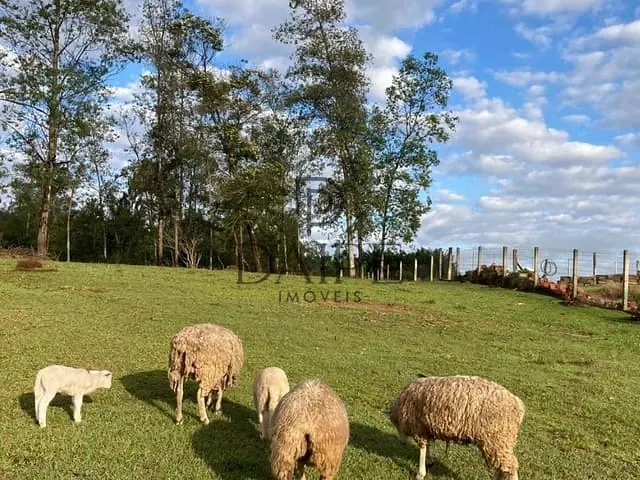 Chácara à venda, no bairro imperatriz em Araricá