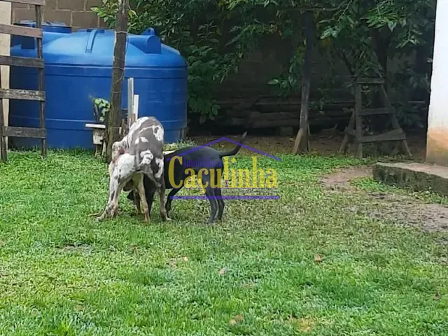 Chácara com 1890m², à venda, no bairro Trevo de Mendes em Vassouras