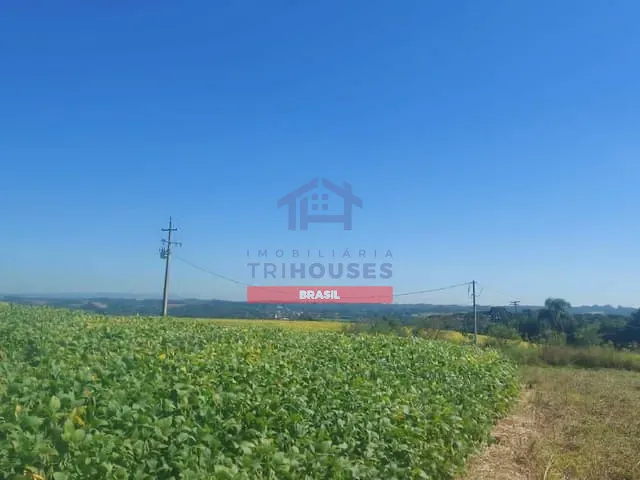 Chácara com 30000m² 3 quartos e 1 banheiro, à venda, no bairro Guajuvira em Araucária