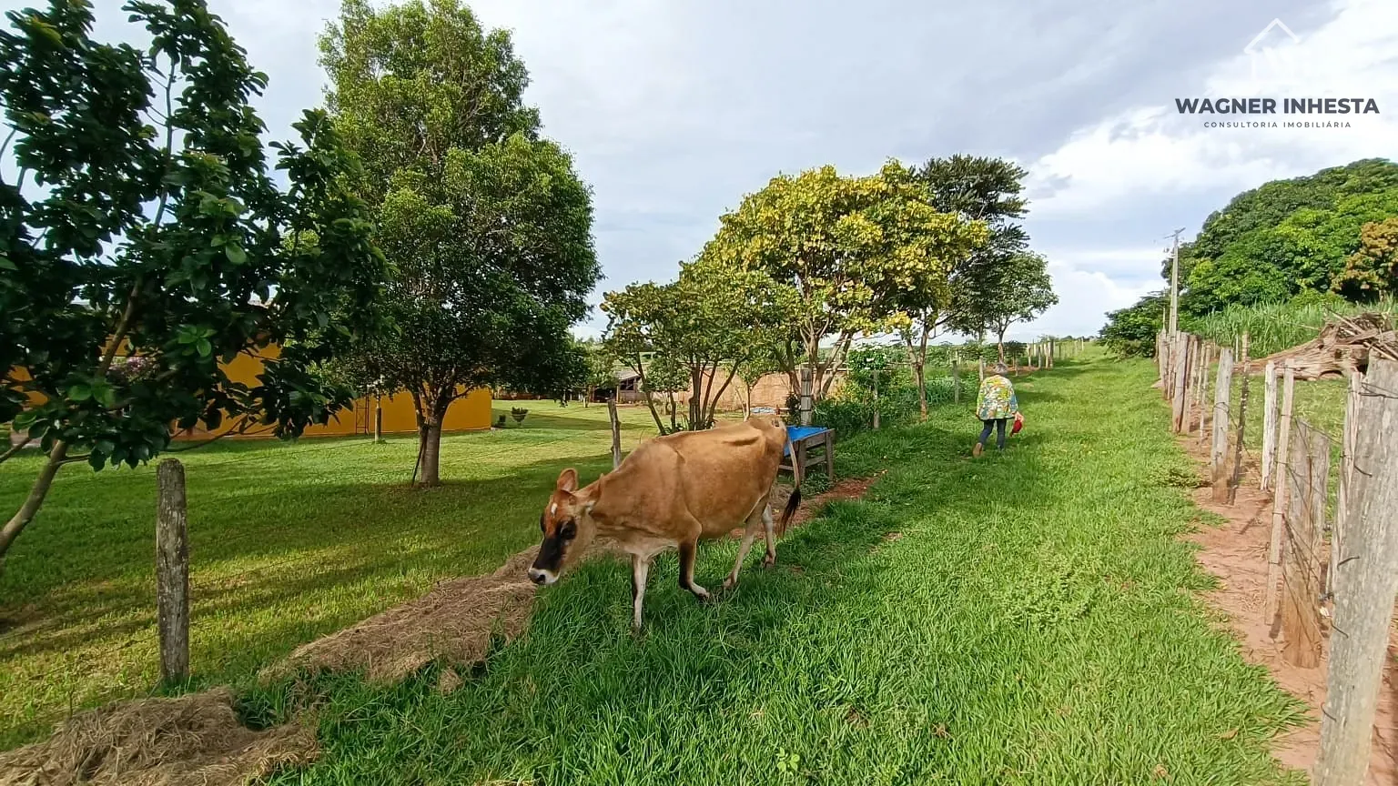 Chácara, 3 quartos, 5 hectares - Foto 34