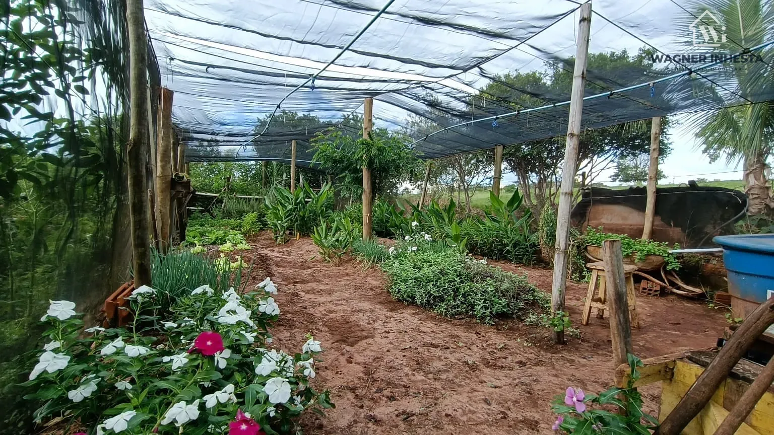 Chácara, 3 quartos, 5 hectares - Foto 40