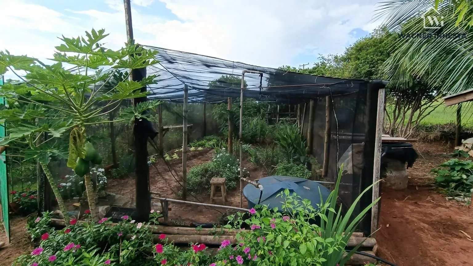 Chácara, 3 quartos, 5 hectares - Foto 39
