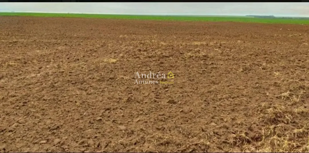 Fazenda, 2 hectares - Foto 17