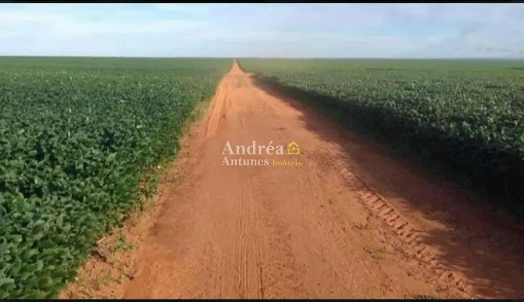 Fazenda, 2 hectares - Foto 16
