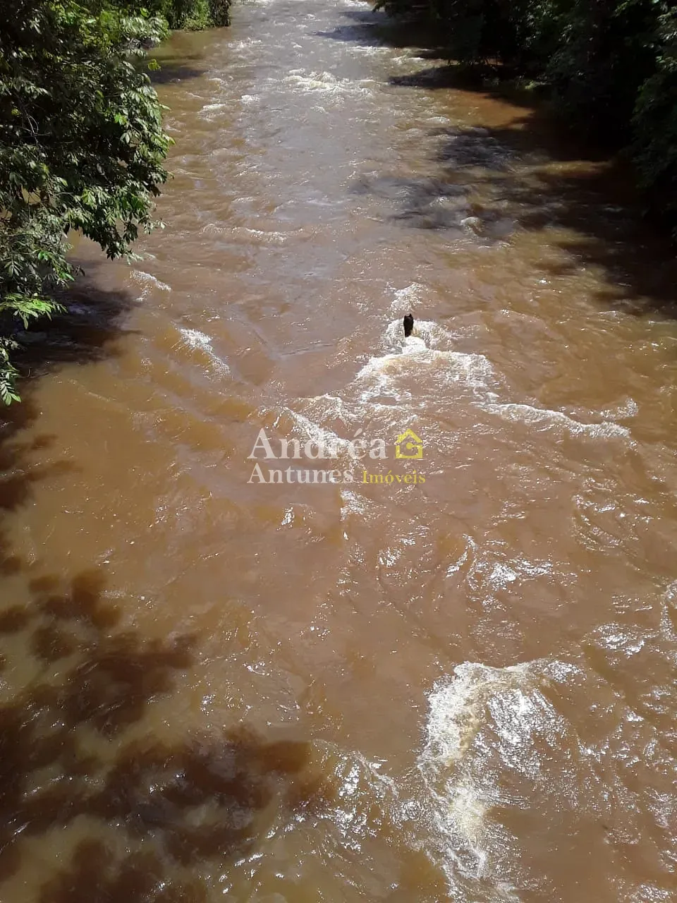 Fazenda, 2 hectares - Foto 6