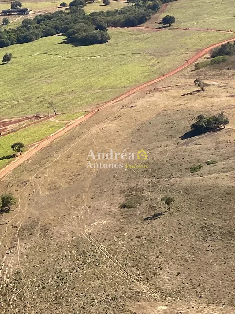 Fazenda, 2 hectares - Foto 4